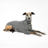 Ribbed Turtleneck Sweater in Charcoal Stripe - Whippet