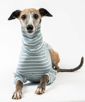 Ribbed Turtleneck Sweater in Dusty Blue Stripe - Whippet