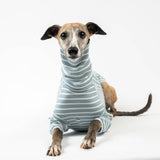 Ribbed Turtleneck Sweater in Dusty Blue Stripe - Whippet