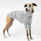 Ribbed Turtleneck Sweater in Sailor Stripe - Whippet