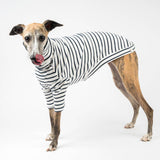 Ribbed Turtleneck Sweater in Sailor Stripe - Whippet