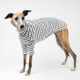 Ribbed Turtleneck Sweater in Sailor Stripe - Whippet