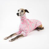 Turtleneck Sweater in Bubblegum Stripe - Whippet