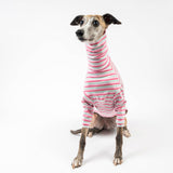 Turtleneck Sweater in Bubblegum Stripe - Whippet