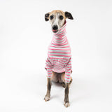 Turtleneck Sweater in Bubblegum Stripe - Whippet