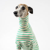 Turtleneck Sweater in Sour Apple Stripe - Whippet