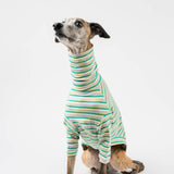 Turtleneck Sweater in Sour Apple Stripe - Whippet