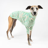 Turtleneck Sweater in Sour Apple Stripe - Whippet