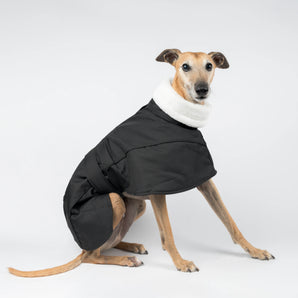 Whippet Winter Coat - Black