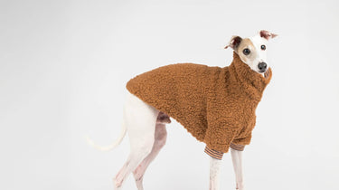 snootly fluffy reversible turtleneck sweater caramel