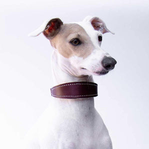 Burgundy Leather Wool-lined Martingale Collar