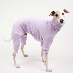 Italian greyhound dog wearing a fluffy reversible onesie in purple/lilac reverse side standing right side 