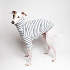 Italian Greyhound Fluffy Reversible Sweater -  Grey