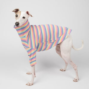 Ribbed Turtleneck Sweater in Sherbet Stripe - Italian Greyhound