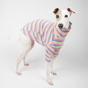 Ribbed Turtleneck Sweater in Sherbet Stripe - Italian Greyhound