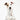 Turtleneck Sweater in Hound Print - Italian Greyhound