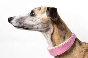 Pink Leather Wool-lined Martingale Collar