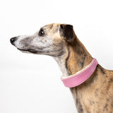 Pink Leather Wool-lined Martingale Collar