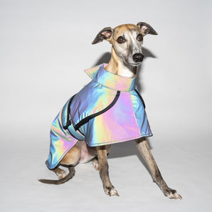 Whippet Reflective Trench Coat
