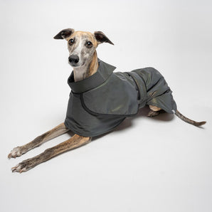 Whippet Reflective Trench Coat