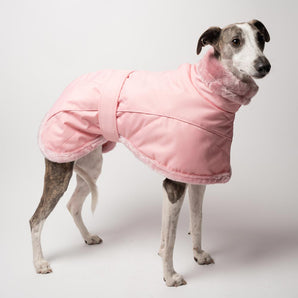 Whippet Winter Coat in Pink