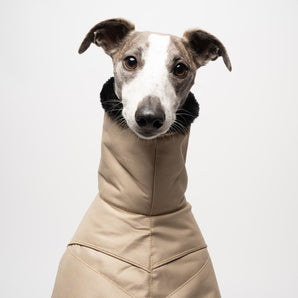 Whippet Winter Coat in Sand