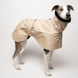 Whippet Winter Coat in Sand