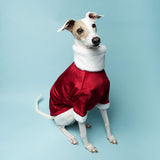 Christmas Luxe Fur Sweater - Italian Greyhound