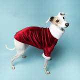 Christmas Luxe Fur Sweater - Italian Greyhound