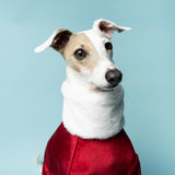 Christmas Luxe Fur Sweater - Italian Greyhound