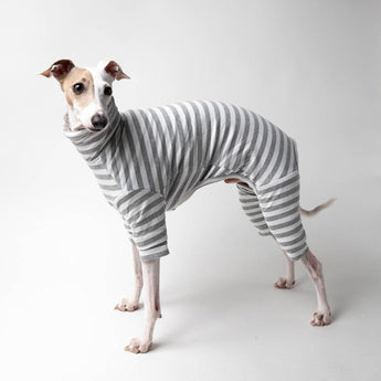 Italian greyhound dog wearing a fluffy reversible onesie in grey reverse side standing left 
