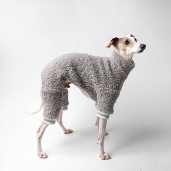 Italian greyhound dog wearing a fluffy reversible onesie in grey standing right side 