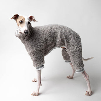 Italian greyhound dog wearing a fluffy reversible onesie in grey standing left side 
