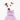 Italian greyhound dog wearing a fluffy reversible onesie in purple/lilac close up head shot 
