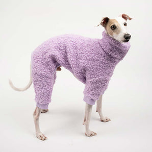 Italian greyhound dog wearing a fluffy reversible onesie in purple/lilac standing right side 
