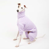 Italian greyhound dog wearing a fluffy reversible onesie in purple/lilac sitting left side 